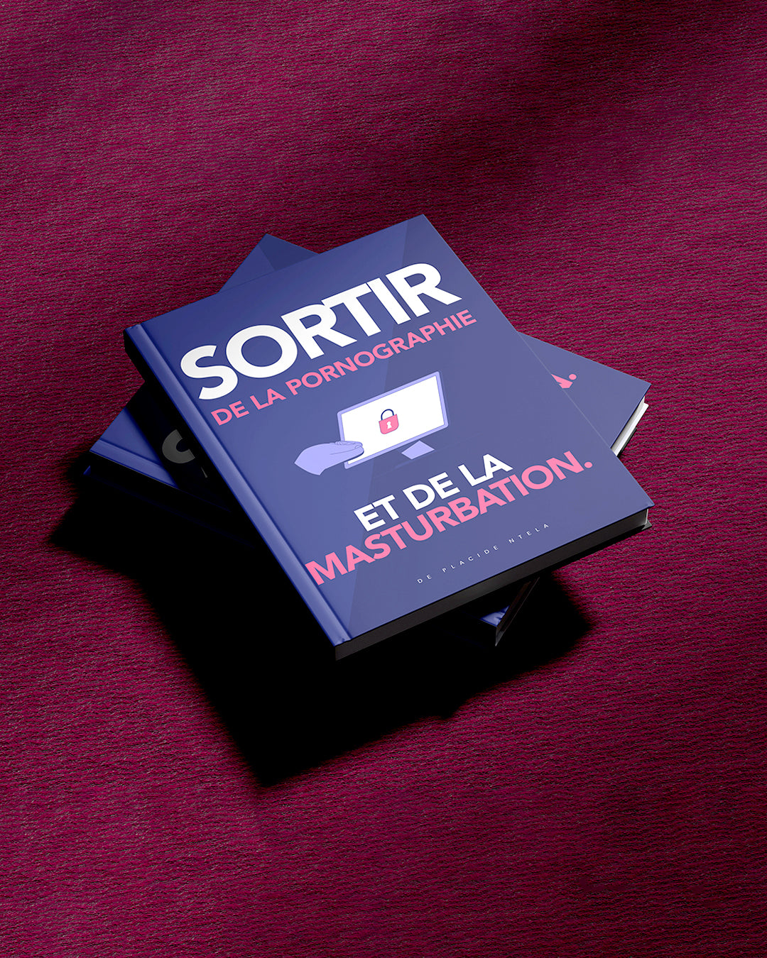 SORTIR DE LA PORNOGRAPHIE... (Ebook)